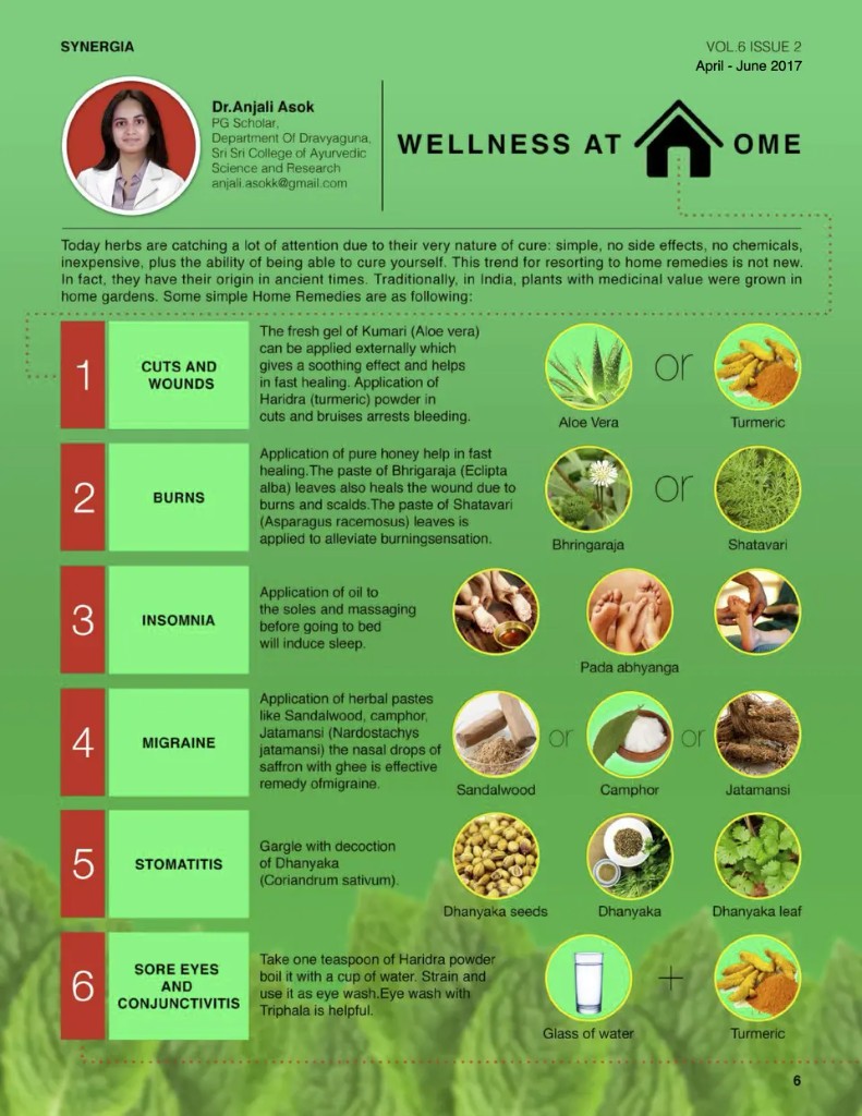 Synergia newsletter page: Wellness at Home herbal remedies